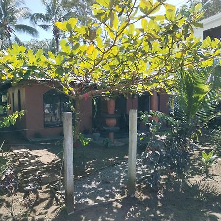 Micheck Beach House Tortuguero Luaran gambar