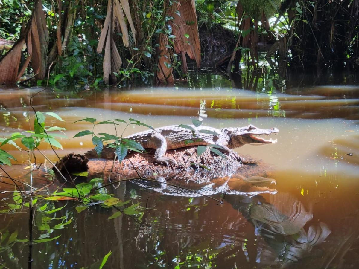 Micheck Beach House Tortuguero Luaran gambar