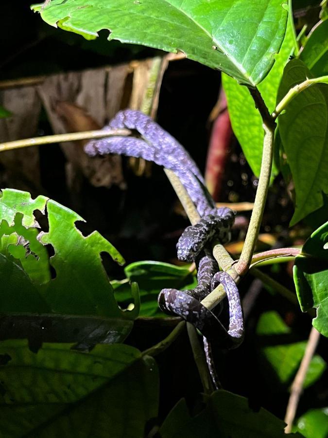 Micheck Beach House Tortuguero Luaran gambar